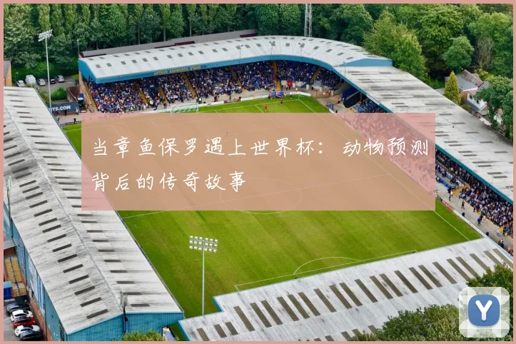 当章鱼保罗遇上世界杯：动物预测背后的传奇故事